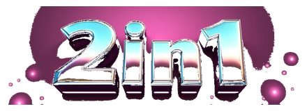 2in1 logo